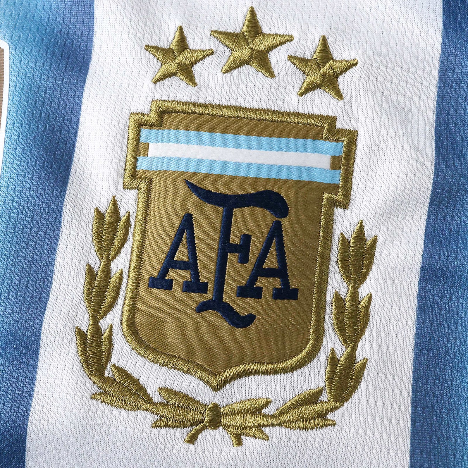 Argentina Home Versión Fan - Image 3