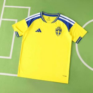 2026 FIFA World Cup Sweden home Fan version