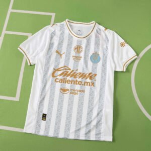 2627 season Chivas Guadalajara Concept version Fan version