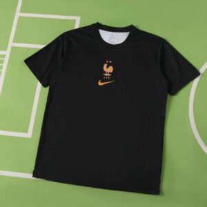 2026 FIFA World Cup France Training shirt Fan version