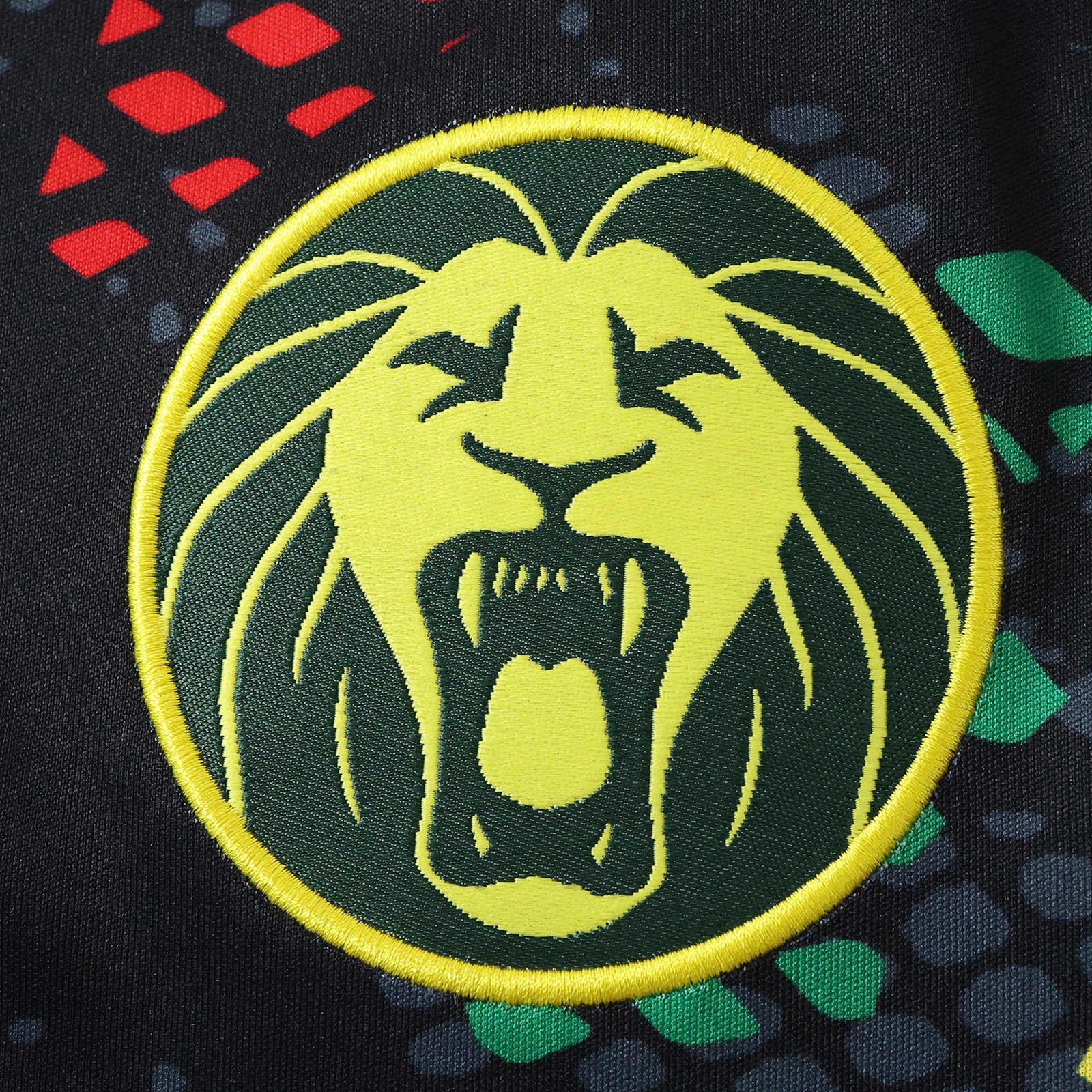 2026 The Republic of Cameroon black Fan version - Image 2
