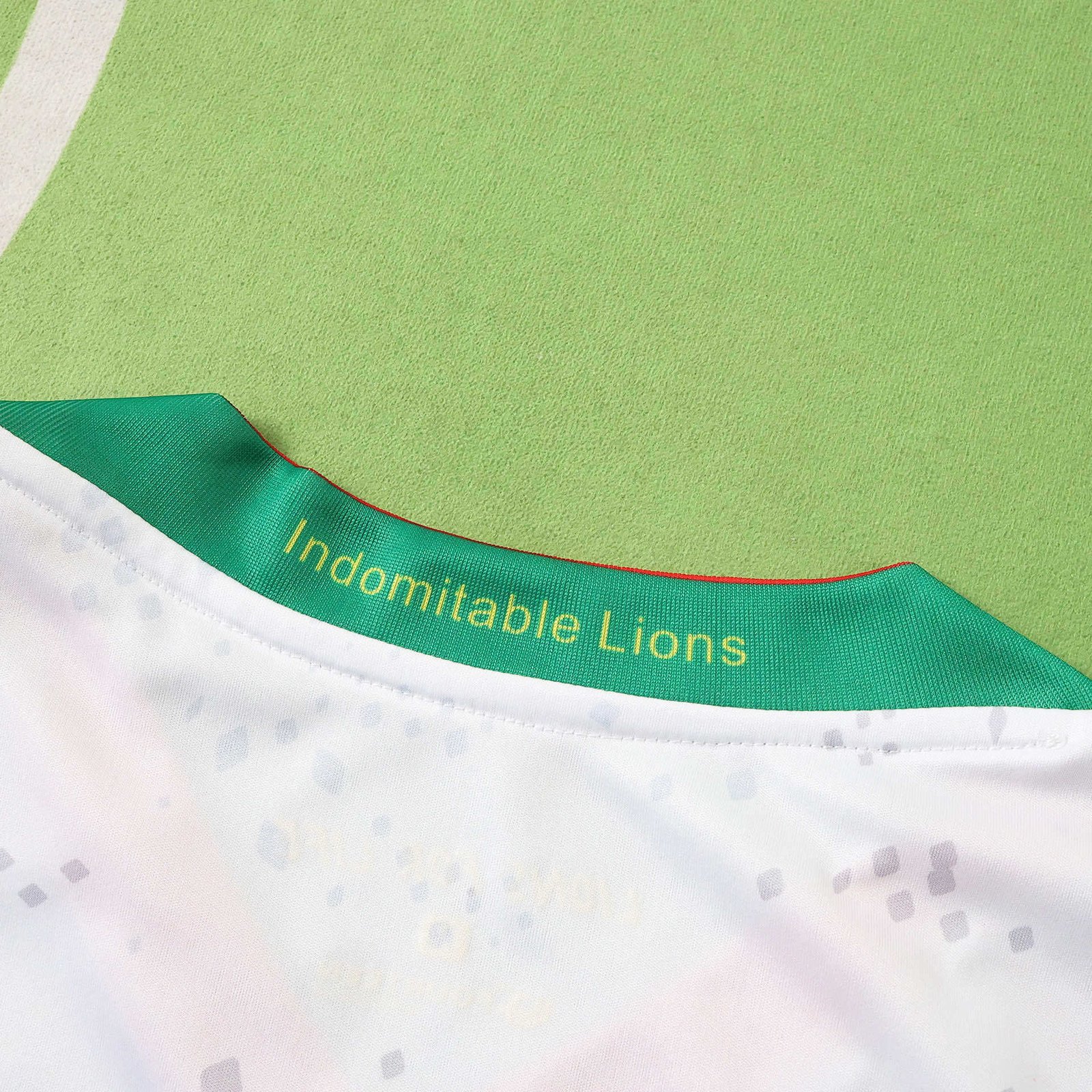 2026 The Republic of Cameroon white Fan version - Image 4
