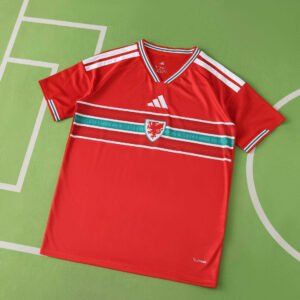 2026 FIFA World Cup Wales home Fan version