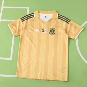 2026 FIFA World Cup South Africa third Fan version