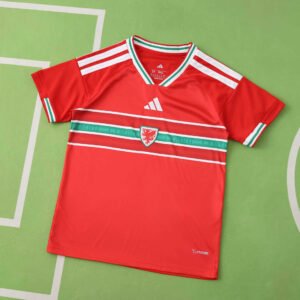 2026 FIFA World Cup Wales home Kids kit