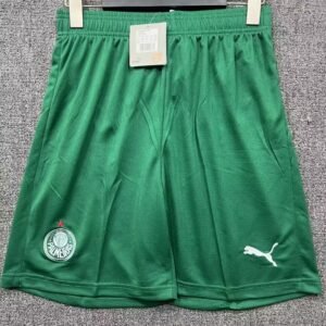 2526 Palmeiras away game 帕尔梅拉斯客