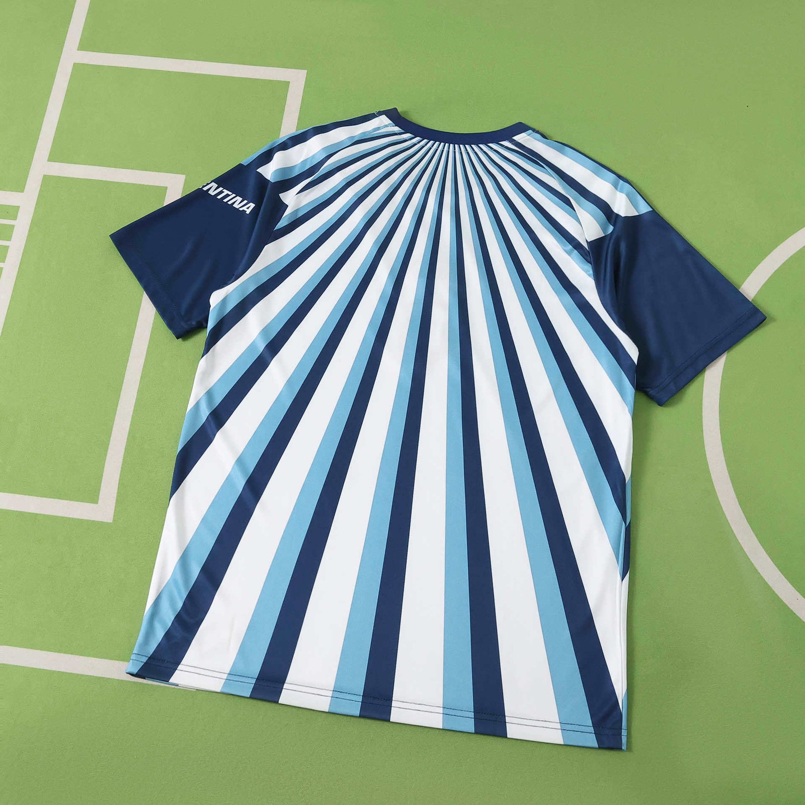 2026 FIFA World Cup Argentina Training shirt Fan version - Image 2