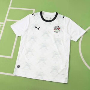 2627 Egypt home Fan version