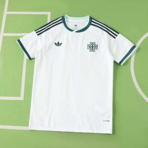 2026 Northern Ireland away Fan version